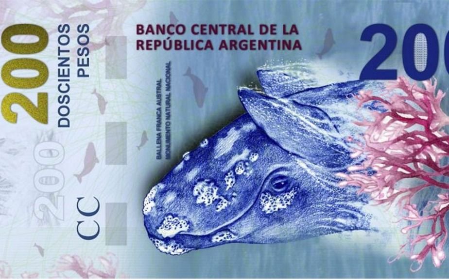 Desaparecieron 145.600 pesos en papel para billetes de $200