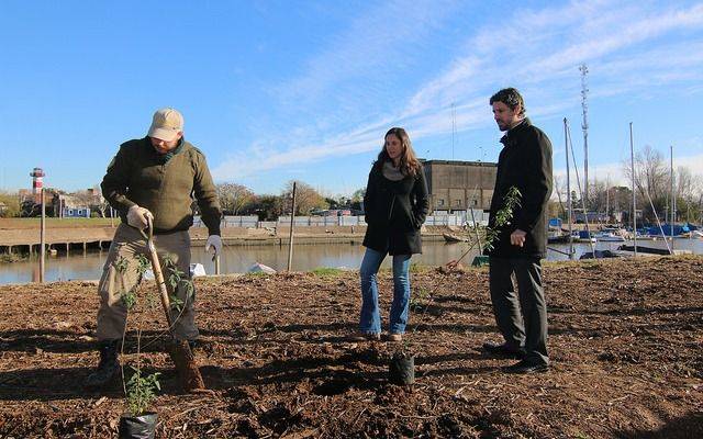 San Isidro impulsa una forestación para reflejar el paisaje natural del Río de la Plata