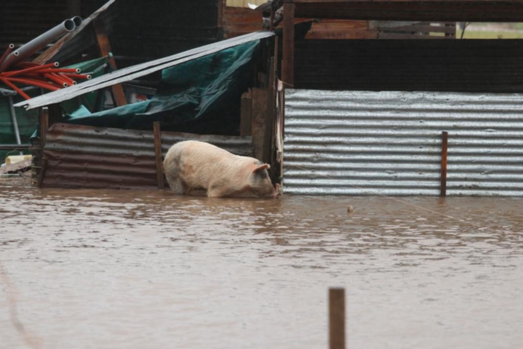 La lluvia eterna y los barrios convertidos en chiqueros