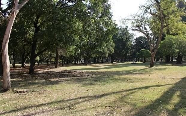 Conmoción: hallan muerta a una joven platense en el Parque Pereyra