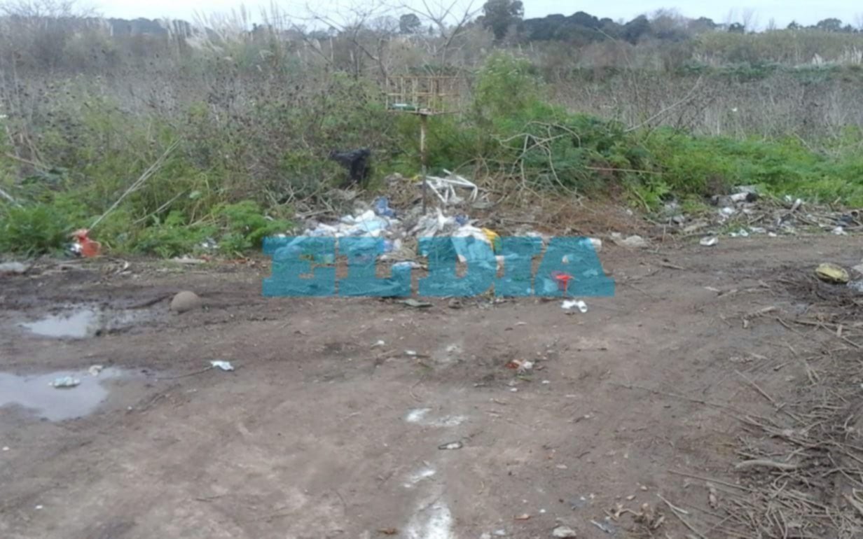 Piden urgente erradicación de basura acumulada en 5 y 621