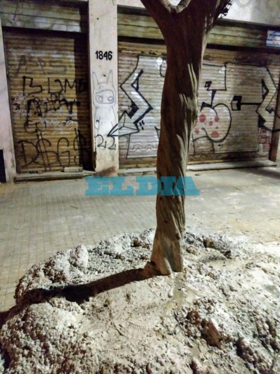 Recubrieron un árbol con cemento y los vecinos estallaron de bronca