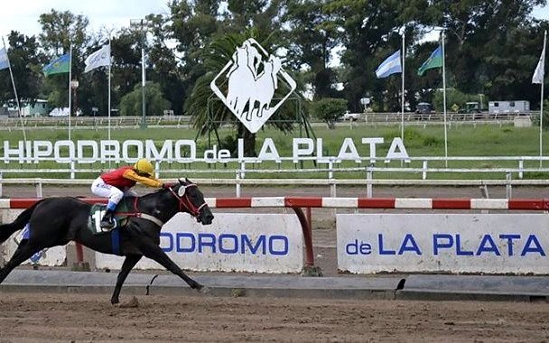 Corren el martes el Clásico 9 de Julio en el hipódromo de La Plata