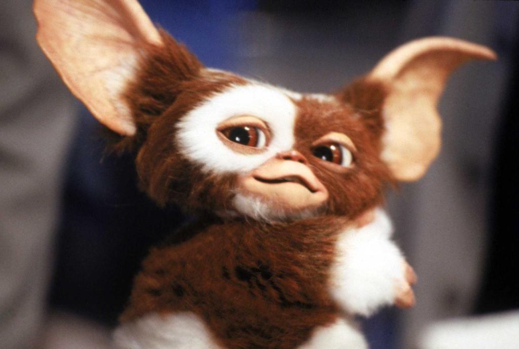 Todo vuelve Los “Gremlins” también tendrán su precuela