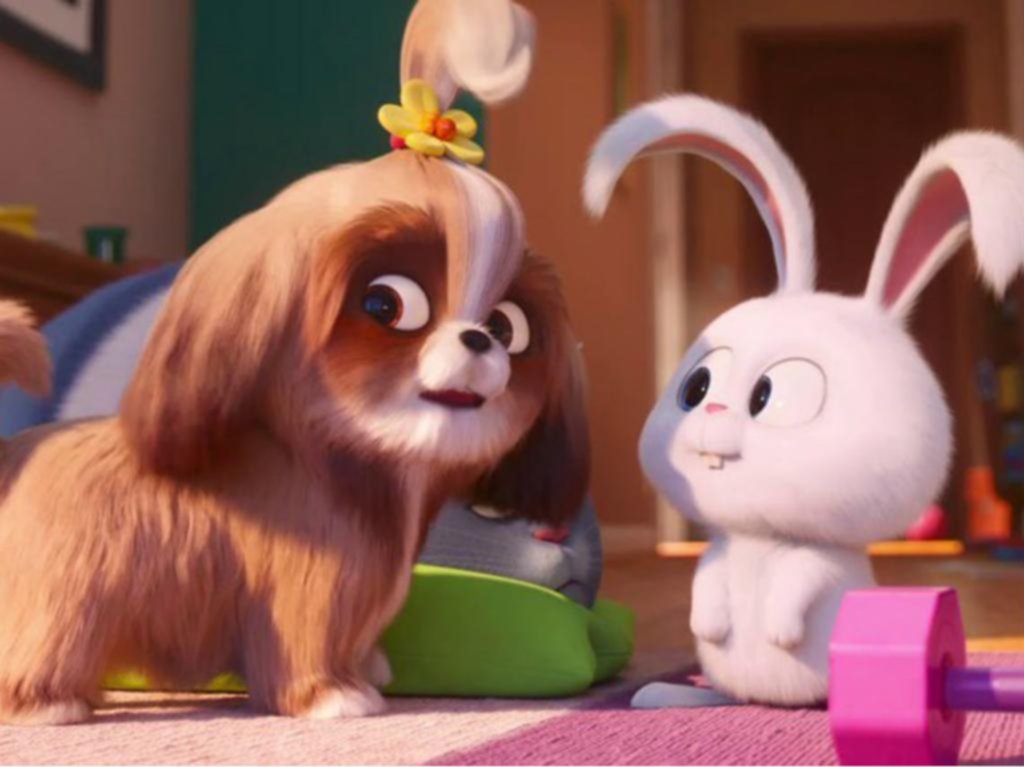 Recomendados en el cine