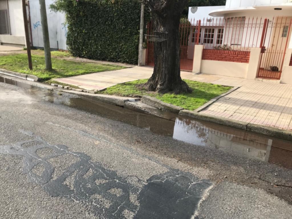 Crece una laguna en 530 entre 7 y 8, de Tolosa