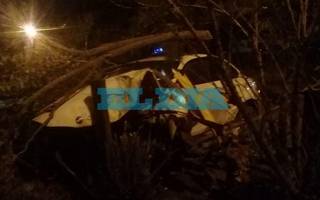 La sacaron barata: despistó, chocó contra un árbol y casi dio contra una casa