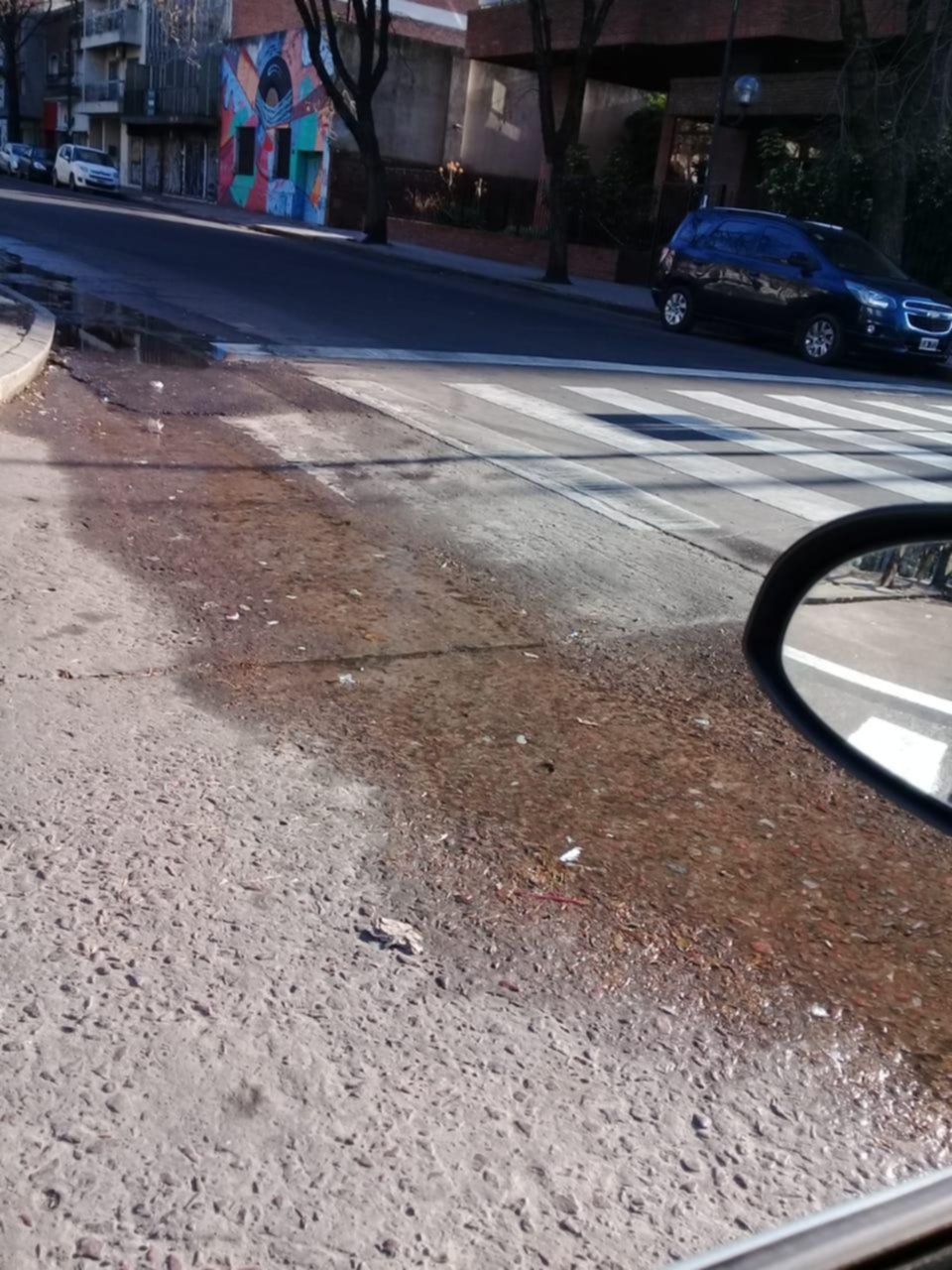 En 58 y 8 los vecinos piden arreglo de baches