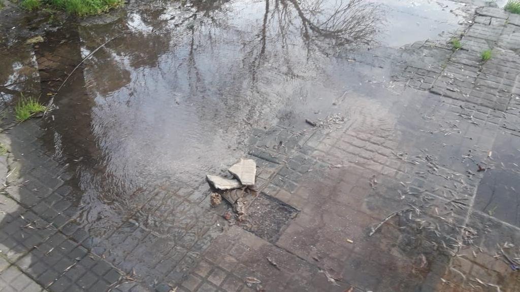 Más de 10 reclamos por una pérdida de agua en 15 y 70