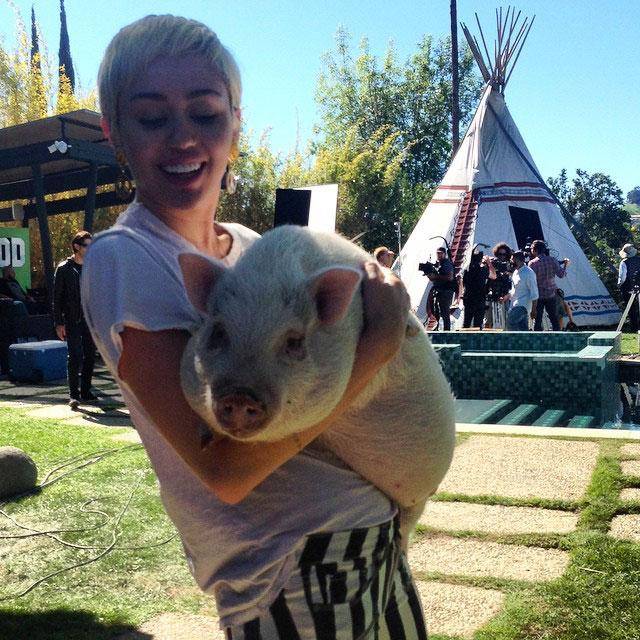 Adiós Pig Pig: Miley Cyrus, muy triste por la muerte de su cerdita