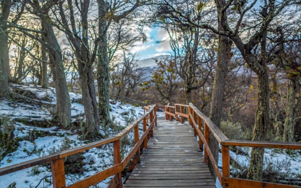 Parques patagónicos, una experiencia única entre el esquí y los hielos eternos