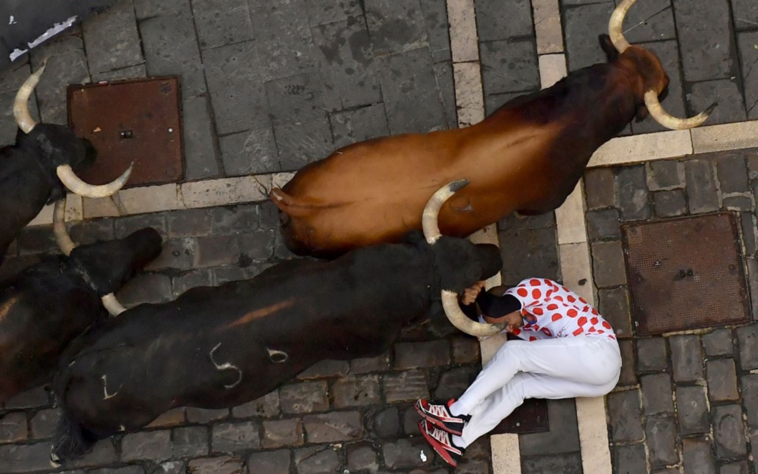 En el festival de San Fermín un toro  mandó al hospital a tres jóvenes 