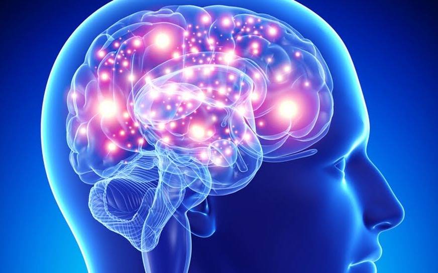 Musk anuncia progresos en tecnología para conectar el cerebro y las computadoras