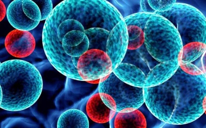Se diagnostican ocho casos de leucemia por día en Argentina, según Fundaleu