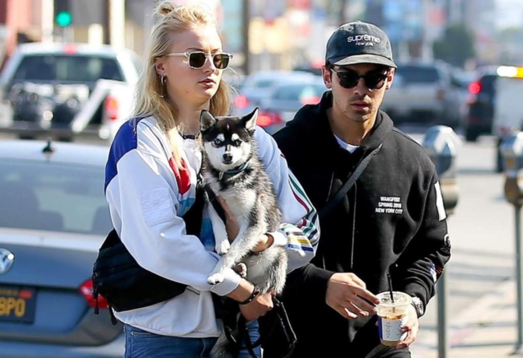 Sophie y Joe, a terapia por la muerte de su perro