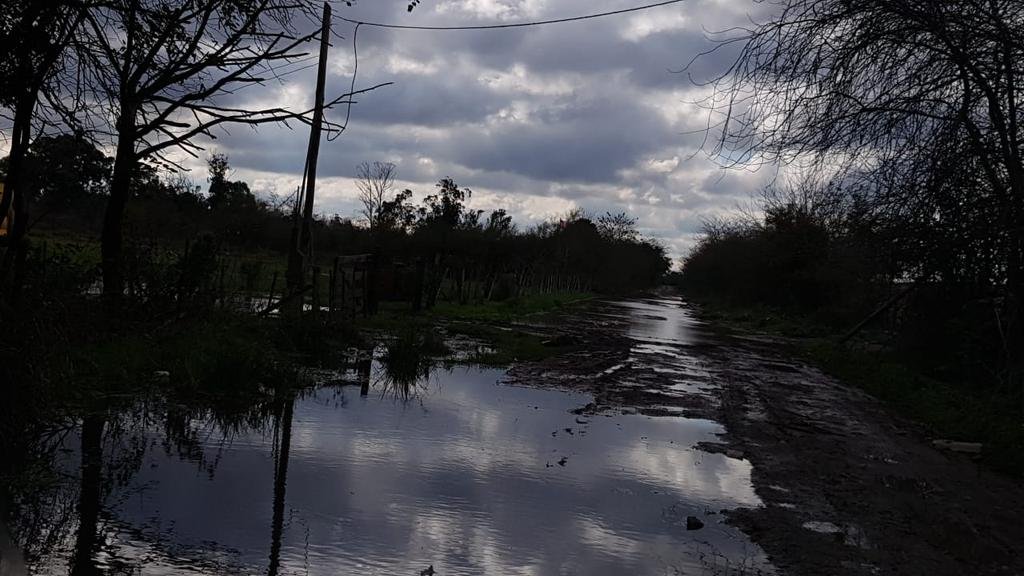El estado de las calles y caminos rurales platenses provoca fuertes pérdidas a los quinteros