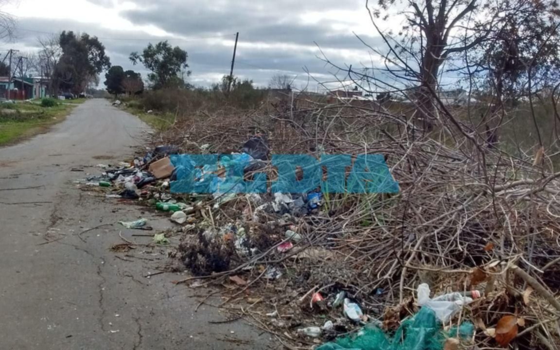 En Los Hornos piden al Municipio limpieza de un basural y a los vecinos "solidaridad"