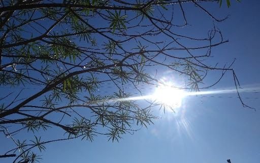 Fresco pero con algo de sol