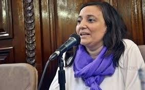 Ileana Cid: "Suspendimos las sesiones para estar en los barrios"