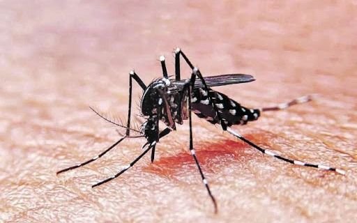 China no se salva de nada: reportó un caso de Dengue