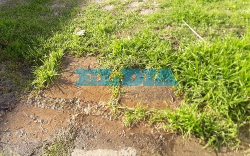Desesperación por un caño roto que deja sin agua agua a vecinos de 522, entre 116 y 117 
