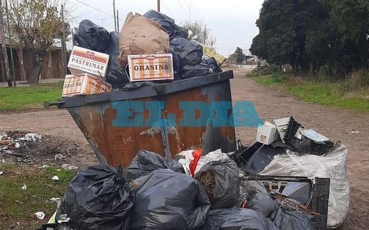 Denuncian varias semanas sin recolección de basura y hasta ratas muertas en un contenedor