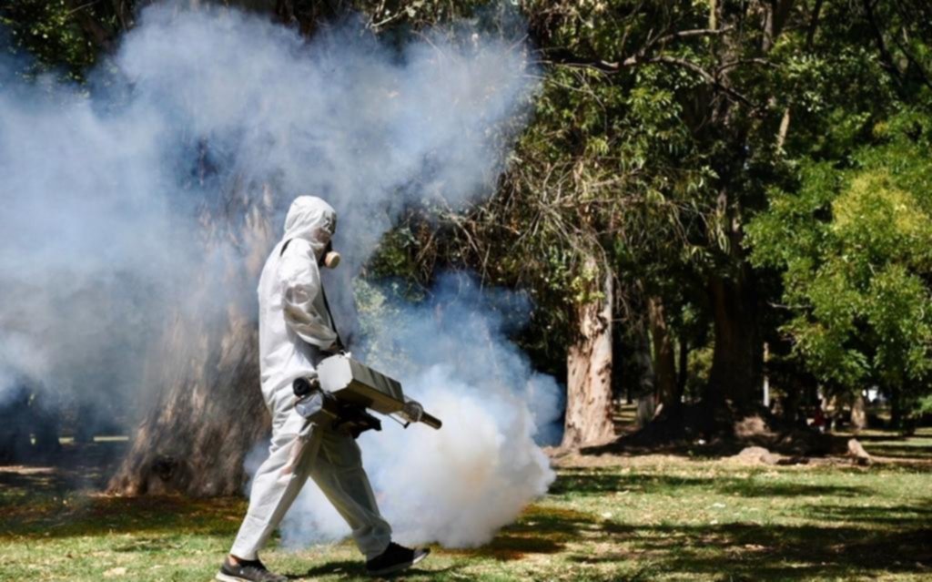 Ya hay casi 55 mil casos de dengue en el país, el mayor registro histórico