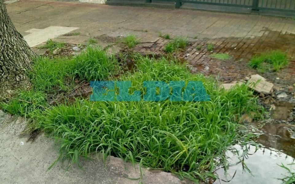 En La Loma piden el arreglo de un caño roto que está rompiendo la vereda