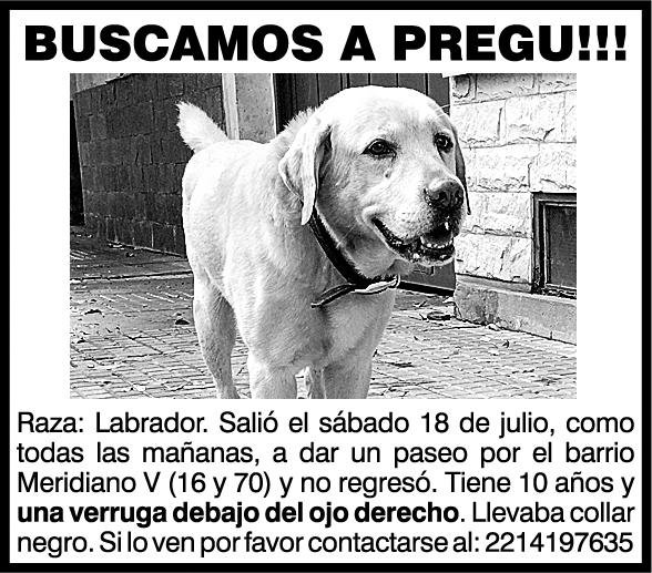 Extravíos y Hallazgos