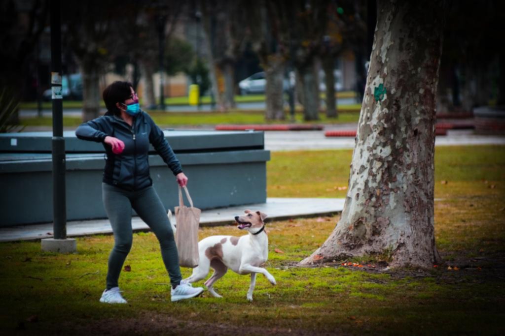 La Plata en imágenes: paseos con buena compañía