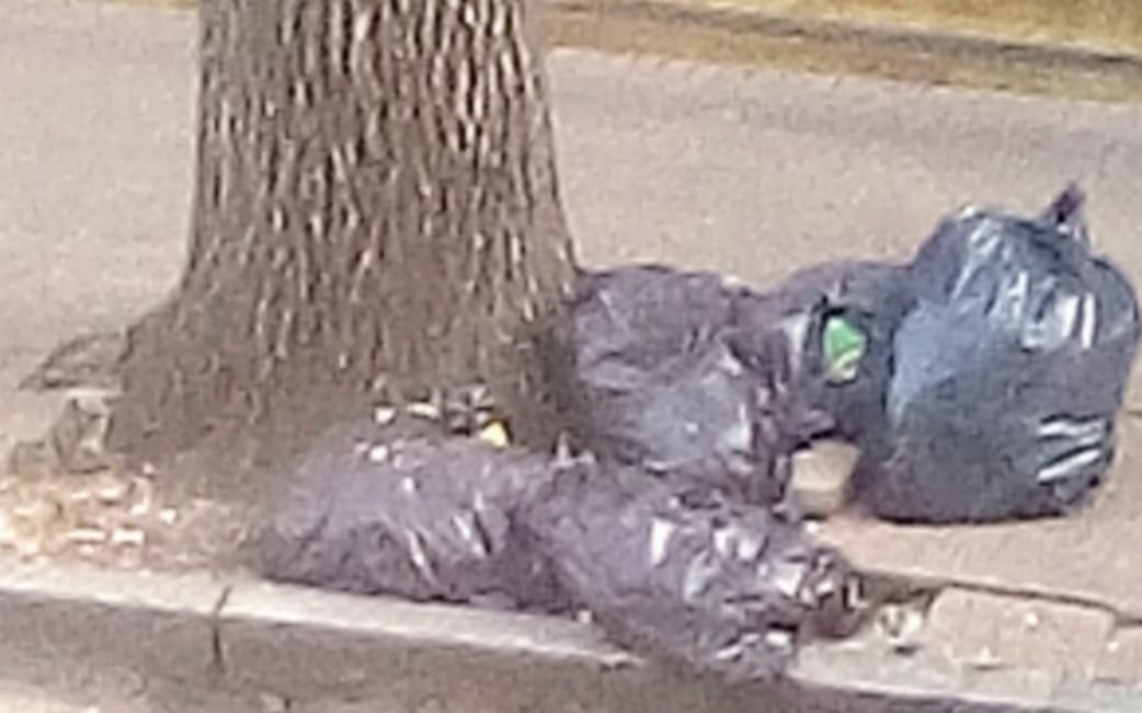 Bolsas de basura desde hace 10 días en zona céntrica