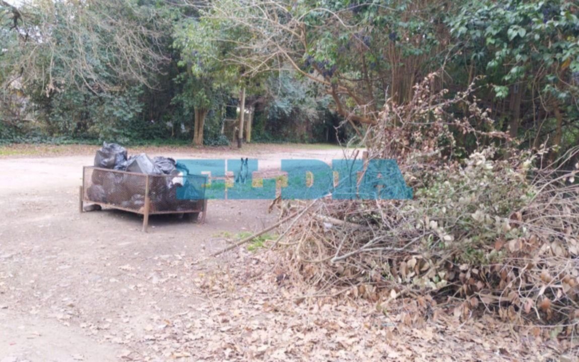 Tras el reclamo en EL DÍA, recolectaron la basura acumulada en 421 y 141 bis