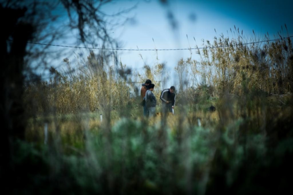 La ocupación ilegal de tierras se consolida en todo el cordón oeste del Gran La Plata
