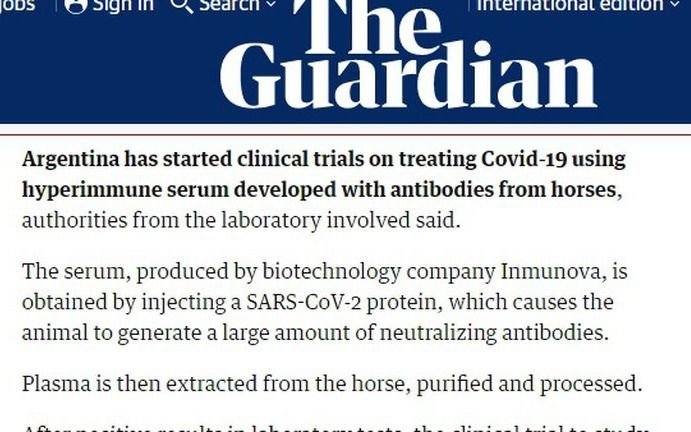 Medios internacionales destacaron el ensayo clínico argentino con suero equino contra el coronavirus