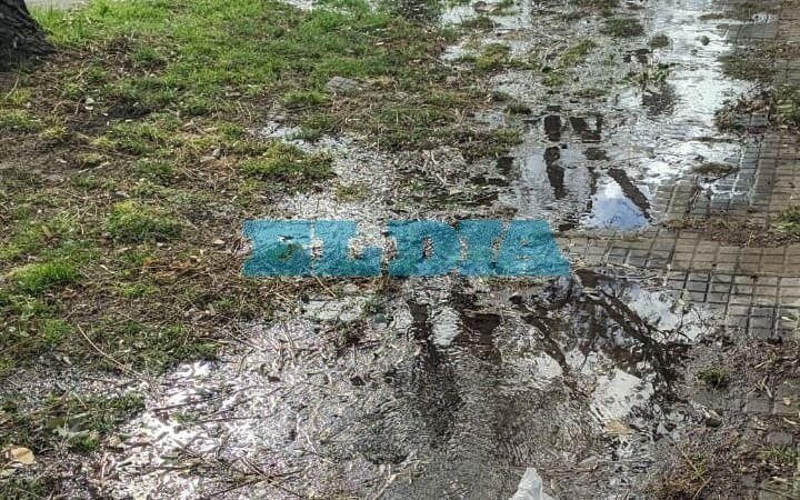 Renuevan reclamo por una abundante pérdida de agua en 65, entre 119 y Diagonal 113