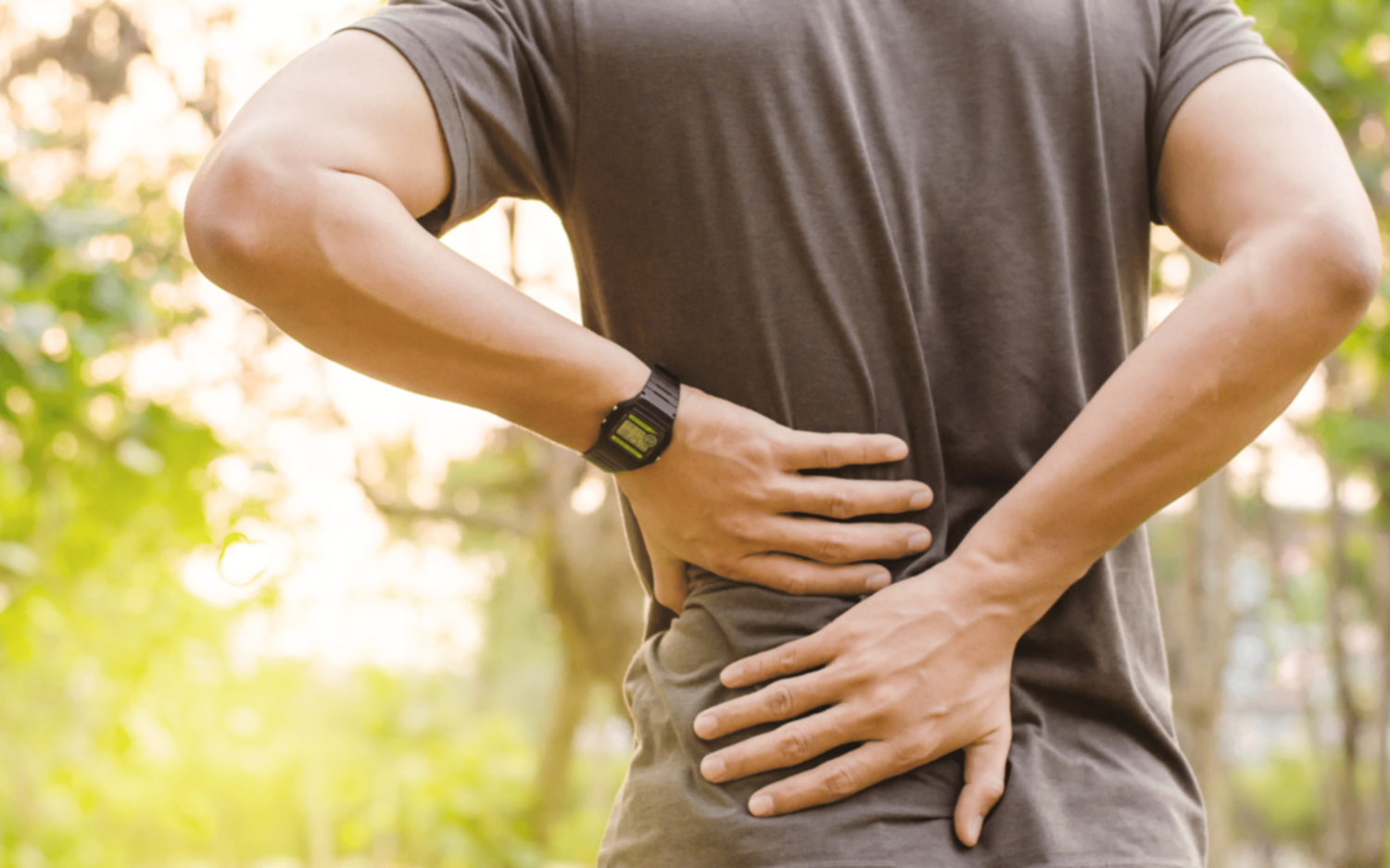 ¿Cómo es la innovadora terapia desarrollada por científicos platenses para la regeneración del nervio ciático?