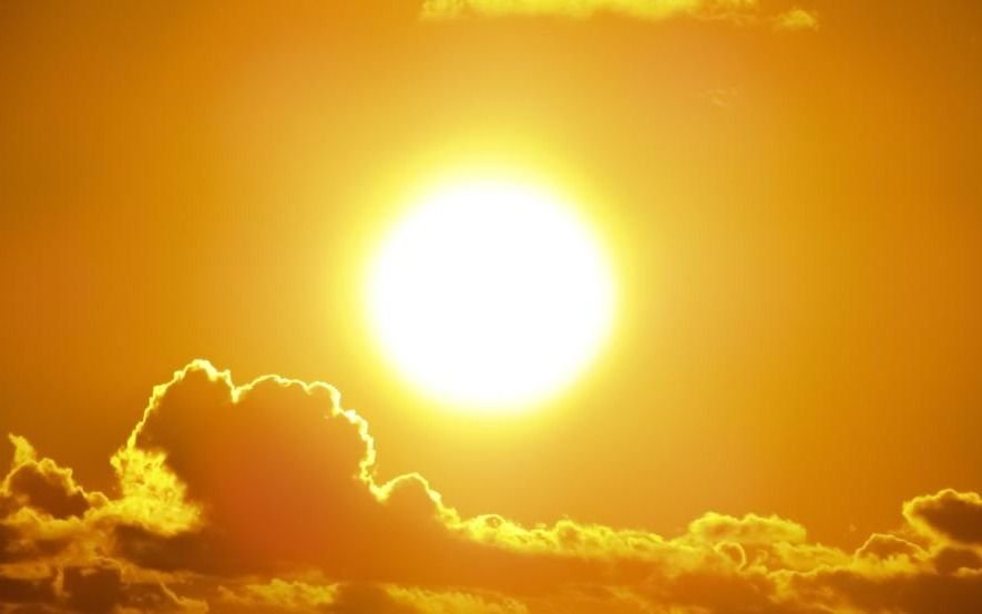 Continúa el adelanto primaveral en pleno invierno