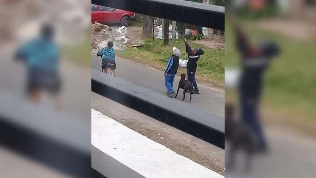 Temor en Villa Castells: chicos con armas y gomeras