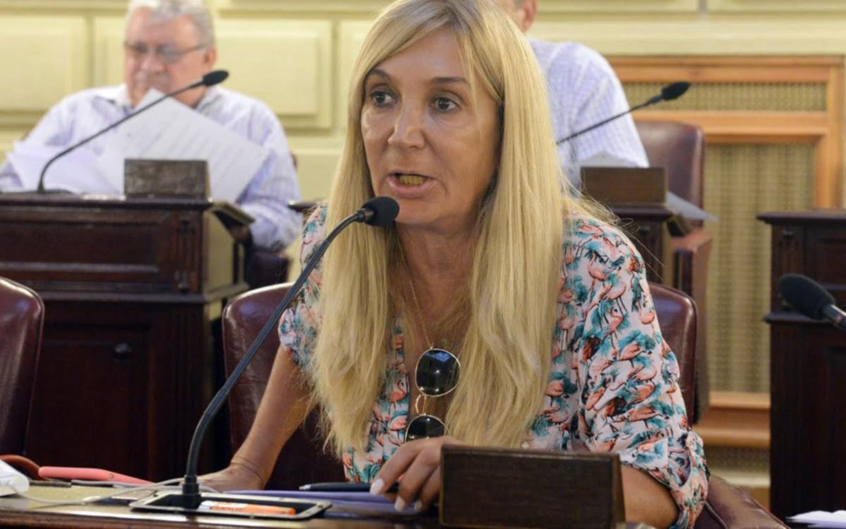 Quién es la exdiputada provincial que reemplazará al fallecido senador