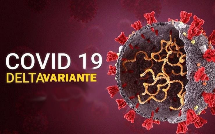 Un nuevo estudio sobre la variante Delta revela la importancia de recibir dos dosis de vacunas