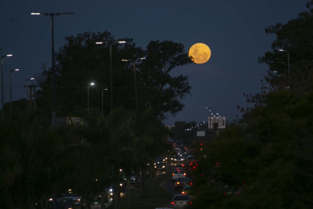 La Plata en imágenes: las fotos de la semana
