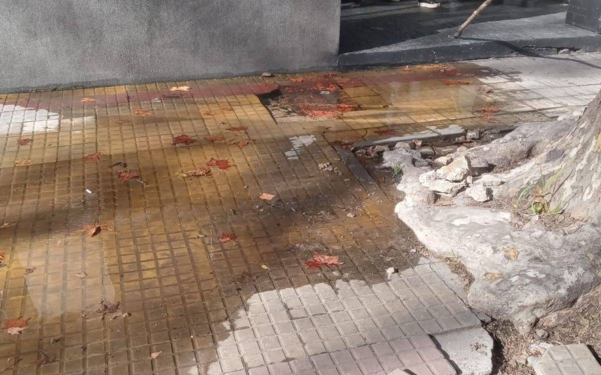 Cuarenta y dos días de reclamos por el agua en 9 y 56