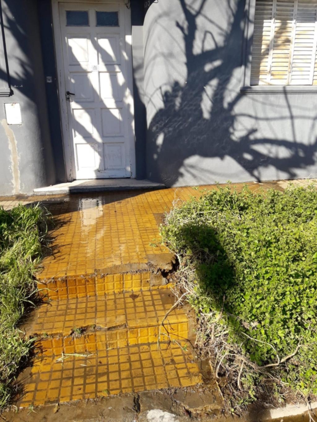 Reclamos por pérdida de agua en 46 entre 120 y 121