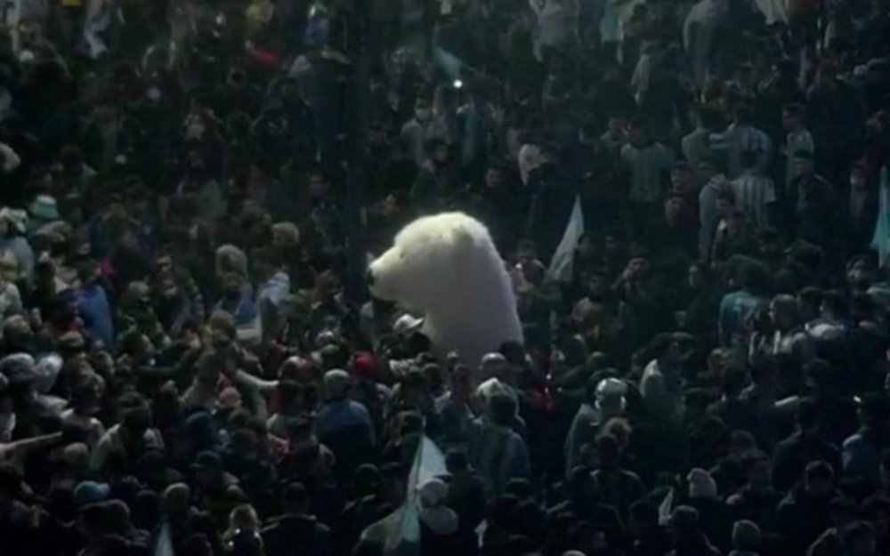 Viral: qué hacía un oso polar en el Obelisco