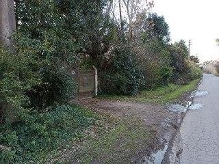 Madre e hija vivieron una verdadera pesadilla durante un asalto en Los Porteños