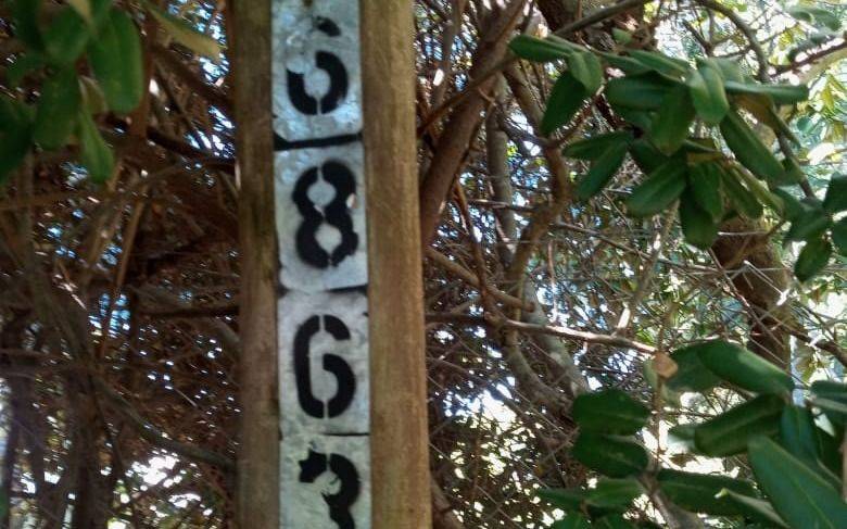 "Siguen los robos y nosotros a oscuras", el reclamo por una luminaria rota en Villa Elisa