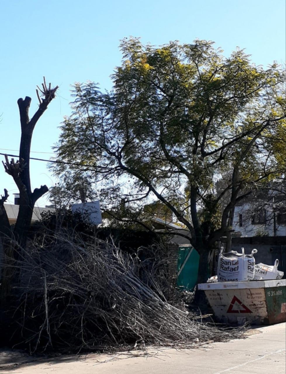 Piden que levanten ramas en 488 y camino Belgrano