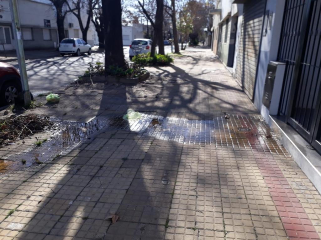 Baldosas rotas por cañería rota en 56 entre 24 y 25