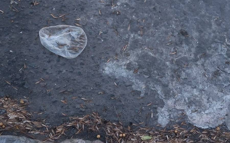 Bronca en la "zona roja": denuncian que arrojan preservativos usados en la vía pública