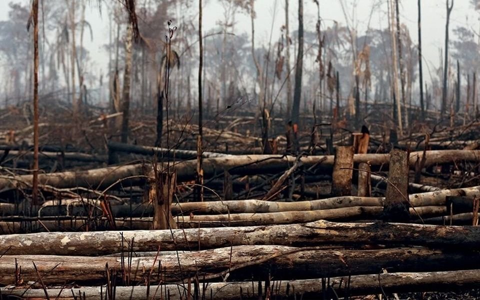 Alertan que la selva amazónica está a punto de producir más dióxido de carbono del que absorbe